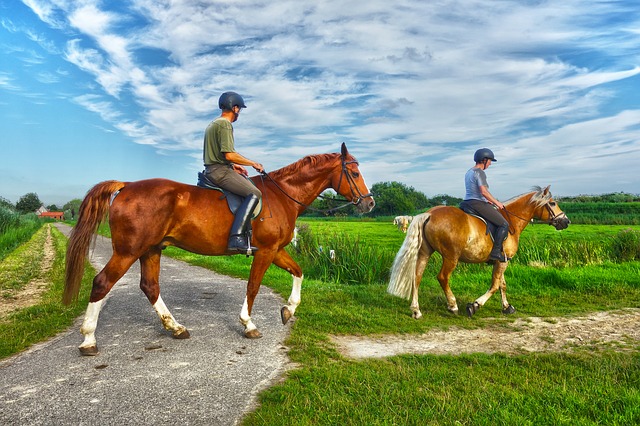 Cavallo Ostia